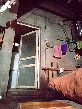 TinTin321 online show from 11.12.25