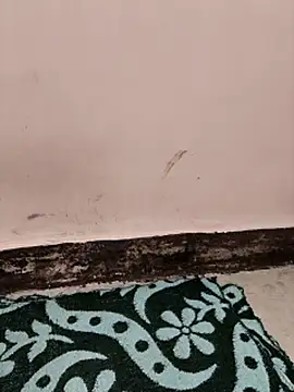 Indian-Aleena online show from 04.01.26