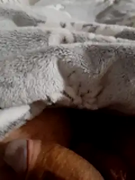 Snapshot of ratoncito_3 chatting on 11.16.25 ratoncito 3 online show from 11.16.25