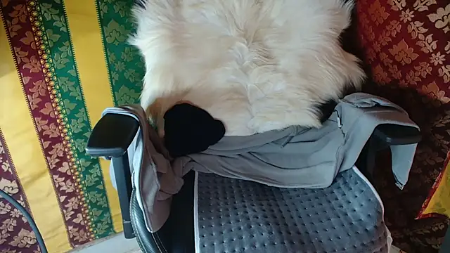 JUSTFORRICH online show from 04.15.26