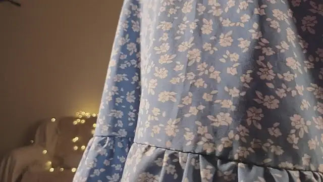 Snapshot of Pixxxis chatting on 11.06.25 Pixxxis online show from 11.06.25