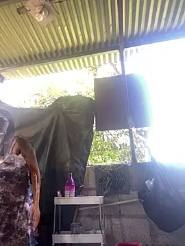 wildpussycat69 online show from 04.16.26