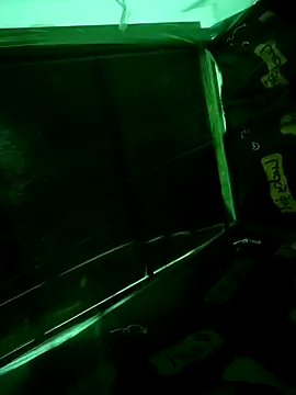 Snapshot of Fireworko chatting on 04.04.26 Fireworko online show from 04.04.26