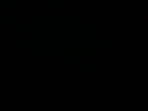 dank7 online show from 04.18.26