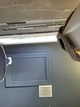 chocolate bella online show from 03.28.26