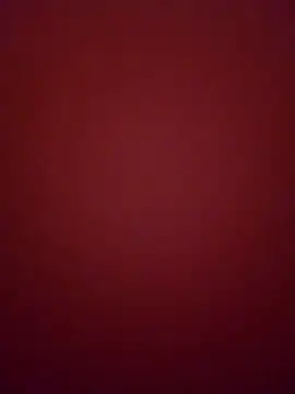 Snapshot of curvybrunnett chatting on 02.14.26 curvybrunnett online show from 02.14.26