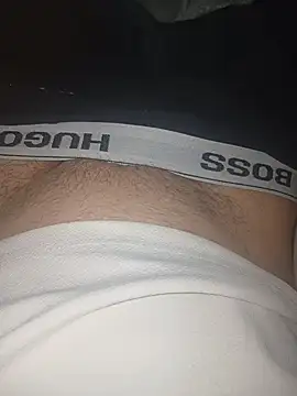 hornyhorny29483 online show from 04.19.26