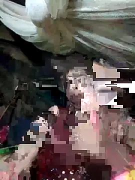 cicnci online show from 11.08.25