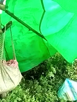 cicnci online show from 11.09.25