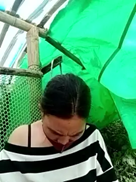 cicnci online show from 11.12.25