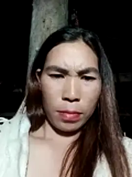 cicnci online show from 11.15.25