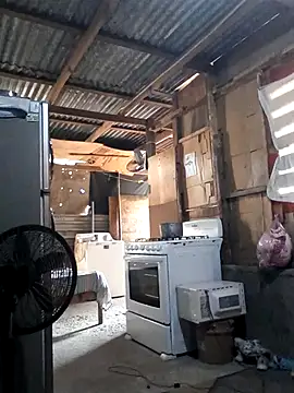 Steehood online show from 11.20.25