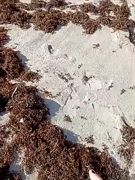 Snapshot of sarahkat86 chatting on 10.09.25 sarahkat86 online show from 10.09.25