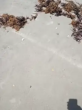 sarahkat86 online show from 04.06.26