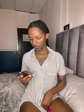 Snapshot of Trans_fairy chatting on 01.19.26 Trans fairy online show from 01.19.26