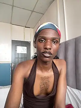 Snapshot of Trans_fairy chatting on 02.13.26 Trans fairy online show from 02.13.26