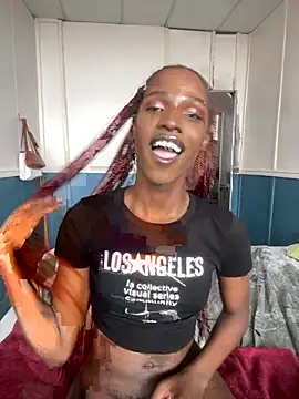 Snapshot of Trans_fairy chatting on 02.15.26 Trans fairy online show from 02.15.26