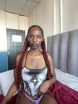 Snapshot of Trans_fairy chatting on 02.17.26 Trans fairy online show from 02.17.26