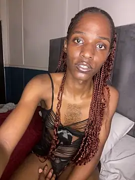 Snapshot of Trans_fairy chatting on 02.18.26 Trans fairy online show from 02.18.26