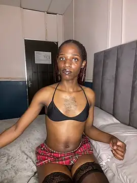 Snapshot of Trans_fairy chatting on 02.22.26 Trans fairy online show from 02.22.26