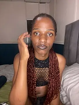 Snapshot of Trans_fairy chatting on 02.25.26 Trans fairy online show from 02.25.26