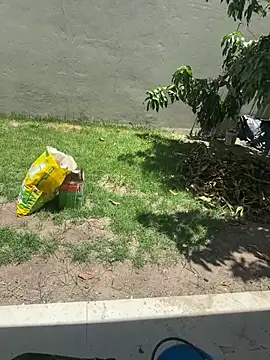 Snapshot of XUCRUTES42 chatting on 02.07.26 XUCRUTES42 online show from 02.07.26