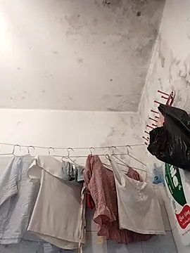 naop04 online show from 11.01.25