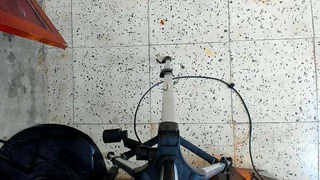 David niet online show from 10.16.25