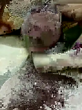 Zepe 12 online show from 03.22.26