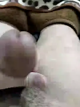 Zepe 12 online show from 04.02.26