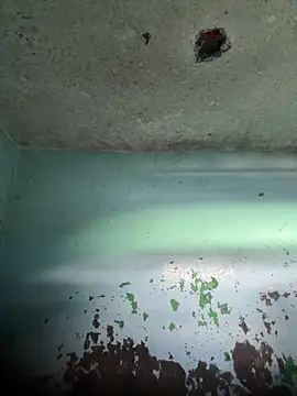 RandalHot online show from 04.15.26