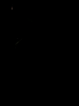 koukou322 online show from 11.02.25