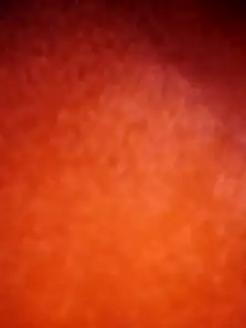 amolicars online show from 11.21.25