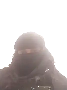 amolicars online show from 11.24.25