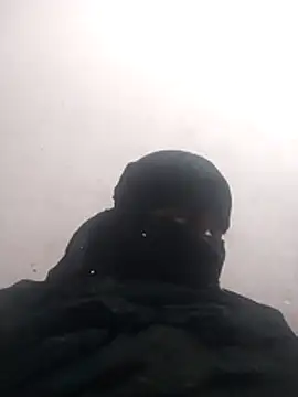 amolicars online show from 12.03.25