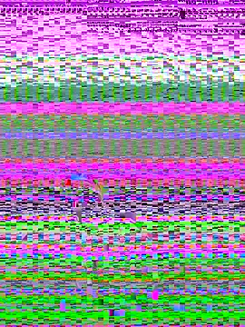 pnwzo online show from 10.03.25