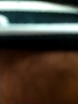 Snapshot of 8inches_DelhiBOY chatting on 11.05.25 8inches DelhiBOY online show from 11.05.25