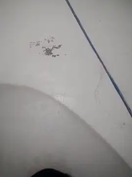 Snapshot of Celestial_Field chatting on 04.09.26 Celestial Field online show from 04.09.26