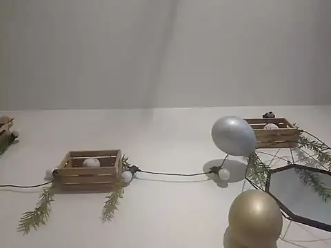 nousmeme0123 online show from 02.20.26