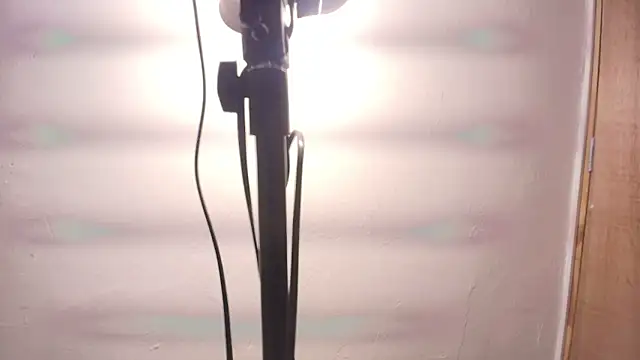 Snapshot of Terraelowen chatting on 02.25.26 Terraelowen online show from 02.25.26