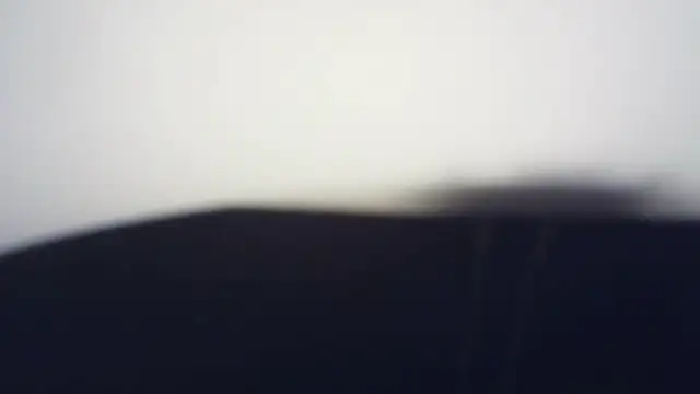 Terraelowen online show from 03.21.26