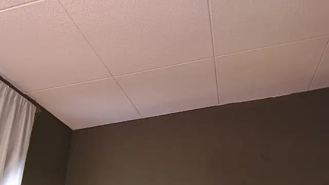 PaulEvens online show from 12.05.25