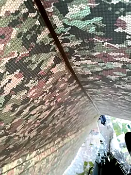 Alabestia12 online show from 11.11.25