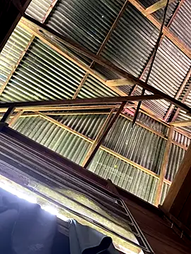 Alabestia12 online show from 12.05.25