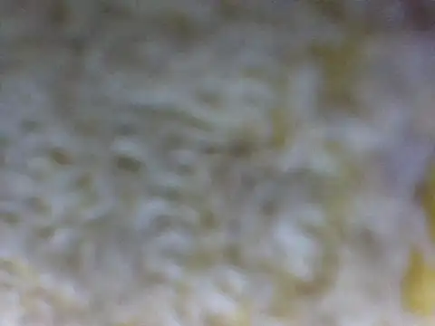 hell1212 25 online show from 03.21.26