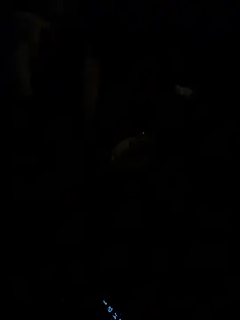 HorneyCowboy154 online show from 02.25.26