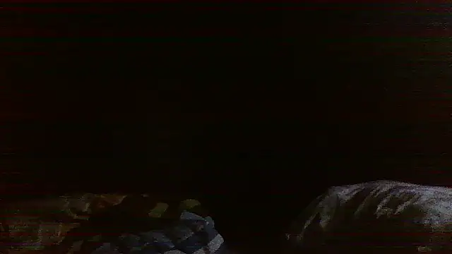 raredick online show from 04.13.26