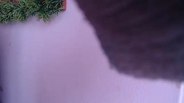 Snapshot of IVONNE_COLLINS33 chatting on 09.24.25 IVONNE COLLINS33 online show from 09.24.25