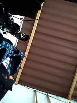 damian bull online show from 11.24.25