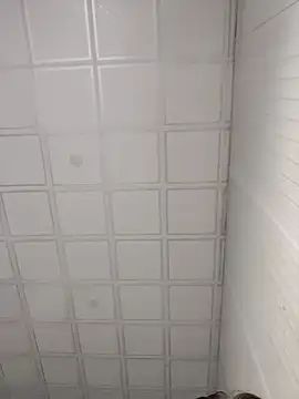 onao7 online show from 04.03.26